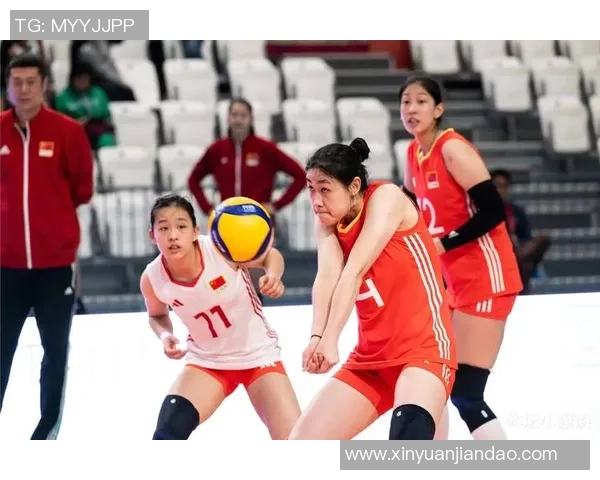 上海排球队的速度之美：探索排球竞技中的快速反应与团队协作