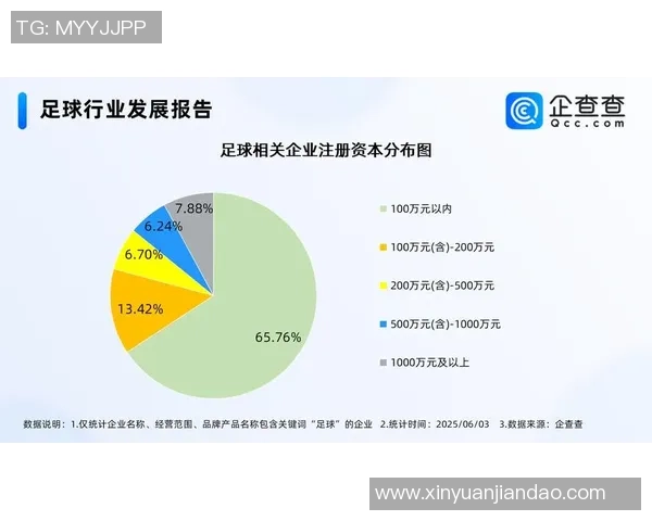 回购足球的意义与影响探讨如何重塑足球产业的未来发展方向