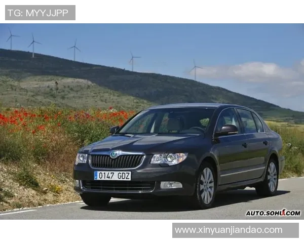 捷克足球队斯科达的崛起与挑战分析及未来展望 捷克足球队斯科达的崛起与挑战分析及未来展望