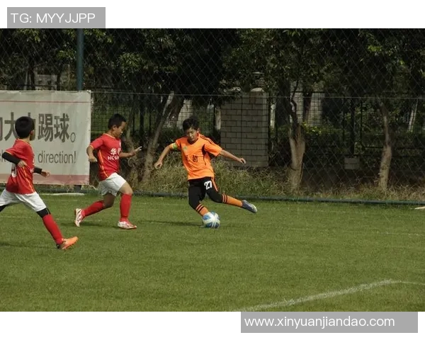 足球凌枫：在绿茵场上书写青春与梦想的传奇故事