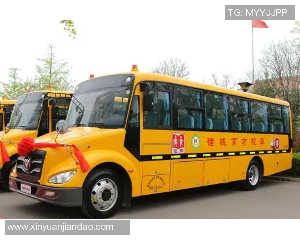 街舞女神李芳的成功秘诀与成长故事全揭秘