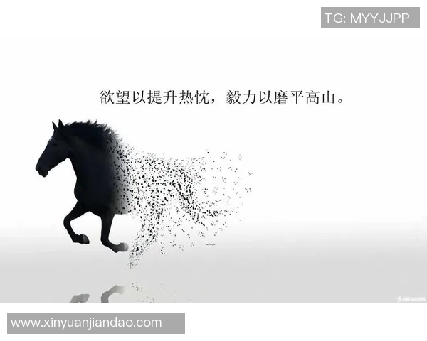 足球贺楠：从绿茵场到人生舞台的奋斗与荣耀之路