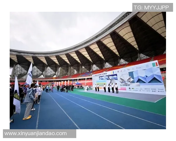 飞盘专题：深入探讨成都飞盘队的默契配合与战术策略